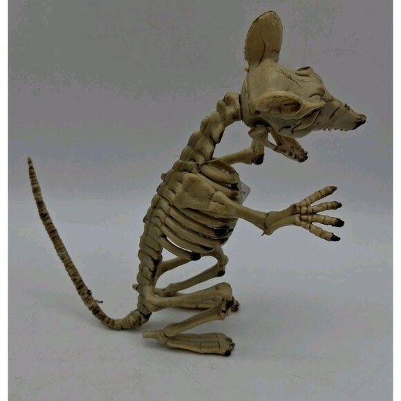 Halloween Skeleton Vulture Rat Spider Bones Props Decoration Horror Spooky Lot - Picture 7 of 14
